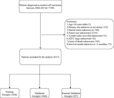 A web-based predictive model for overall survival of patients with cutaneous Merkel cell carcinoma: A population-based study